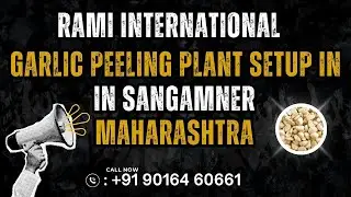 Garlic Peeling Machine in Sangamner(Maharashtra)🧄How To Start Garlic Peeling Business🌟Business Ideas