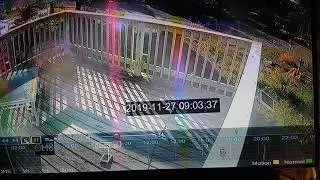 Signal Jamming by Neighbors Lake Wales Florida Security Camera Interference