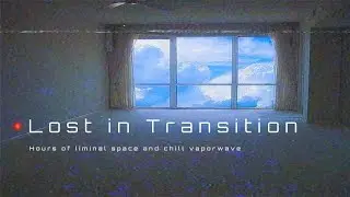 Lost in Transition TV