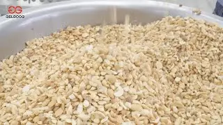 Automatic Peanut Roasting and Cutting Line for Sale