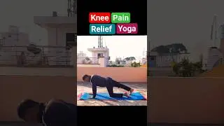 knee pain relief yoga | घुटने दर्द को दूर करने के लिए योग #reels #shorts #status #trends #health