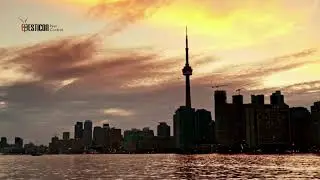 Carpenter Ant Control Toronto | Guaranteed Extermination | Pesticon Pest Control