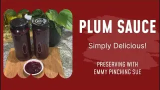 A Delicious Spicy Plum Sauce | Easy Small Batch Recipe