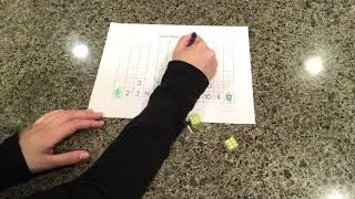 Number Races