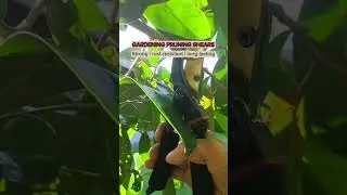GARDENING PRUNER SHEARS