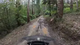 Adv ride in bunyip