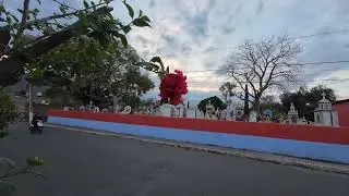 El atardecer de mi Chavinda #yonacíenchavinda 14 de Enero 