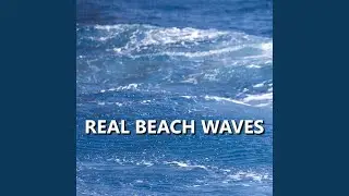 Captivating Paradise Ocean Sounds