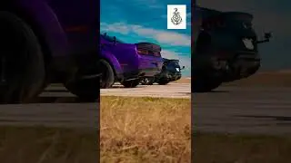 Racing the Legends: Italian Stallion vs American Muscle