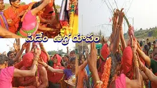 సమ్మక్క సరక్క  గద్దె లు చేరిన  వెదురు పిడేం | Bambu tree is on sammaka saraka medram