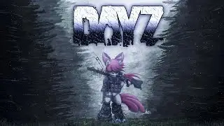 #11 