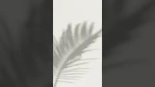 Plant ☘️ Shadow #plants #shadow #youtubeshorts #shorts #photography #nature