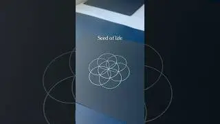 Drawing Seed of life! #sacredgeometry #geometry #seedoflife #mandala #drawingtutorial