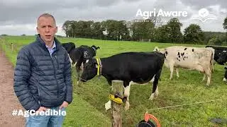 Did You Know Series | Donagh Berry | Dairy Efficiency