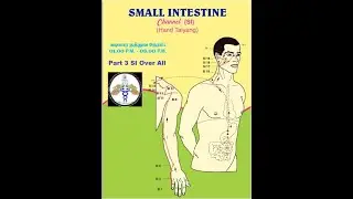 Part 3/ Small Intestine Channel /சிறுகுடல் சக்தி ஓட்டப்பாதை/ Location/ Needling/Diseases/SI-Overall