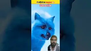 The Wolf Mindset Will Change How U See Leadership#shorts #animals #reactionvideo