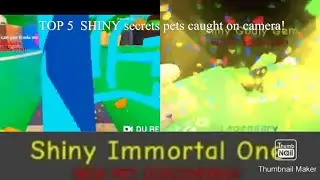 TOP 5 SHINY SECRET PETS CAUGHT  ON CAMERA