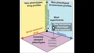 A rate threshold mechanism regulates MAPK stress signaling and survival