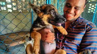 Pets farm house in Baripada | kahna farm house | part :1 | Baripada | Mayurbhanj | odisha