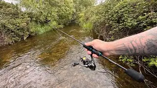Wild Stream Fishing for Native Brown Trout | Ultralight Spinner Adventure