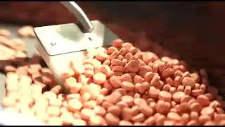 TABLET  ROTARY FEEDER