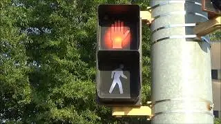 Durasig Pedestrian Signal