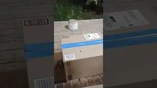Squeak signed for my package