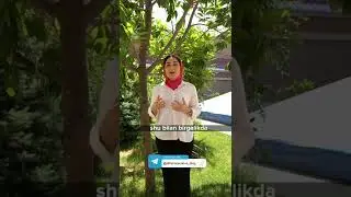 Нарцисс синдироми