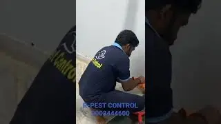 Termite control for post construction