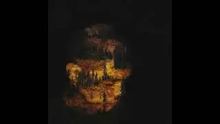 nnnnoizzzz - Search Party Animal