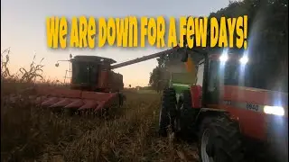 I Totaled the Grain Cart! Corn 🌽 Harvest 2022