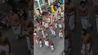 Gajendra Varadar | Varadar Utsavam | Varadar Utsavam | #myyatraexperience #varada