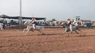 horse riding highlights village mohrian