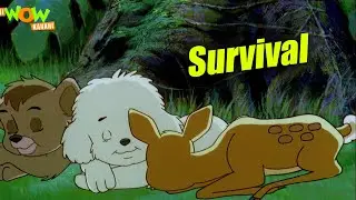 Jungle Survival Stories | Simba Adventure | Simba The Lion King Compilation | Wow Kahani #OTM