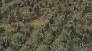 TERRASSES ET BUTTES - Sepp Holzer - Trailer