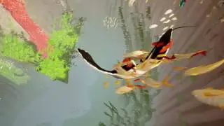ABZ&Ucirc; - Manta Ray fun flips