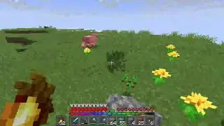 Playing on My Forever World Live!