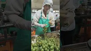 Manual Grape Processing: Seed and Skin Removal Process