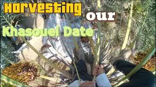 A Real Day in Our Farm Life