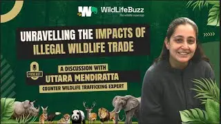 Tracking Wildlife Crime & Animal Welfare Policy