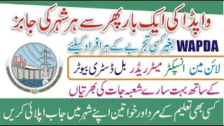 Wapda Jobs 2023 Apply Online - How to Apply for Wapda Jobs 2023 - Wapda Careers 2023 - Wapda Jobs