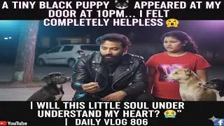 A Tiny Black Puppy 🐈&zwj;⬛ Appeared at My Door at 10pm&hellip; I Felt Completely Helpless 😨? #vlog #petshub