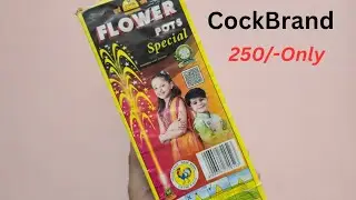 Cock Brand Flower Pot Special 🌸💥 | Diwali 2025 Crackers Testing