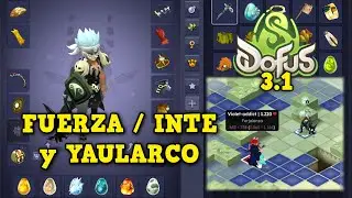 [DOFUS 3.1] ¡ZOBAL de FUERZA e INTELIGENCIA con YAULARCO! | Koliseos 1vs1 - Kuyvros-yt