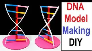 dna model making using cardboard and paper - dna structure - science project for exhibition