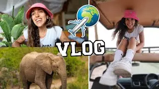 🌈 HAGO un SAFARI 🦒 en ÁFRICA 🔥