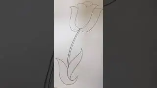simple rose picture / line drawing / drawing for kids