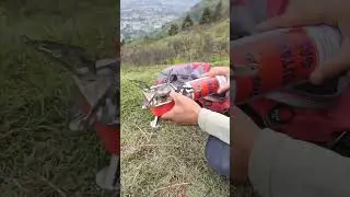 ASMR Portable Camping Gas Stove #camping #mointains #outdoor
