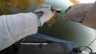 A Short St Charles Fall Bass fishing Trip