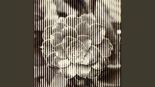 Strange Blooms IV - Cadence